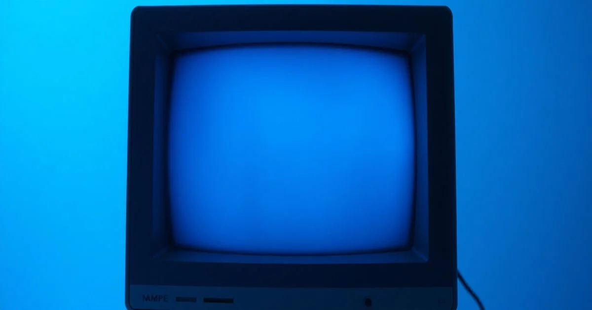 The Secret to Realistic AI Roleplay: Randomized System Prompts