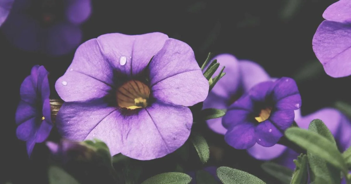 AI in Fragrance Industry: How Personalized Perfumes Are Revolutionizing Scent in 2026